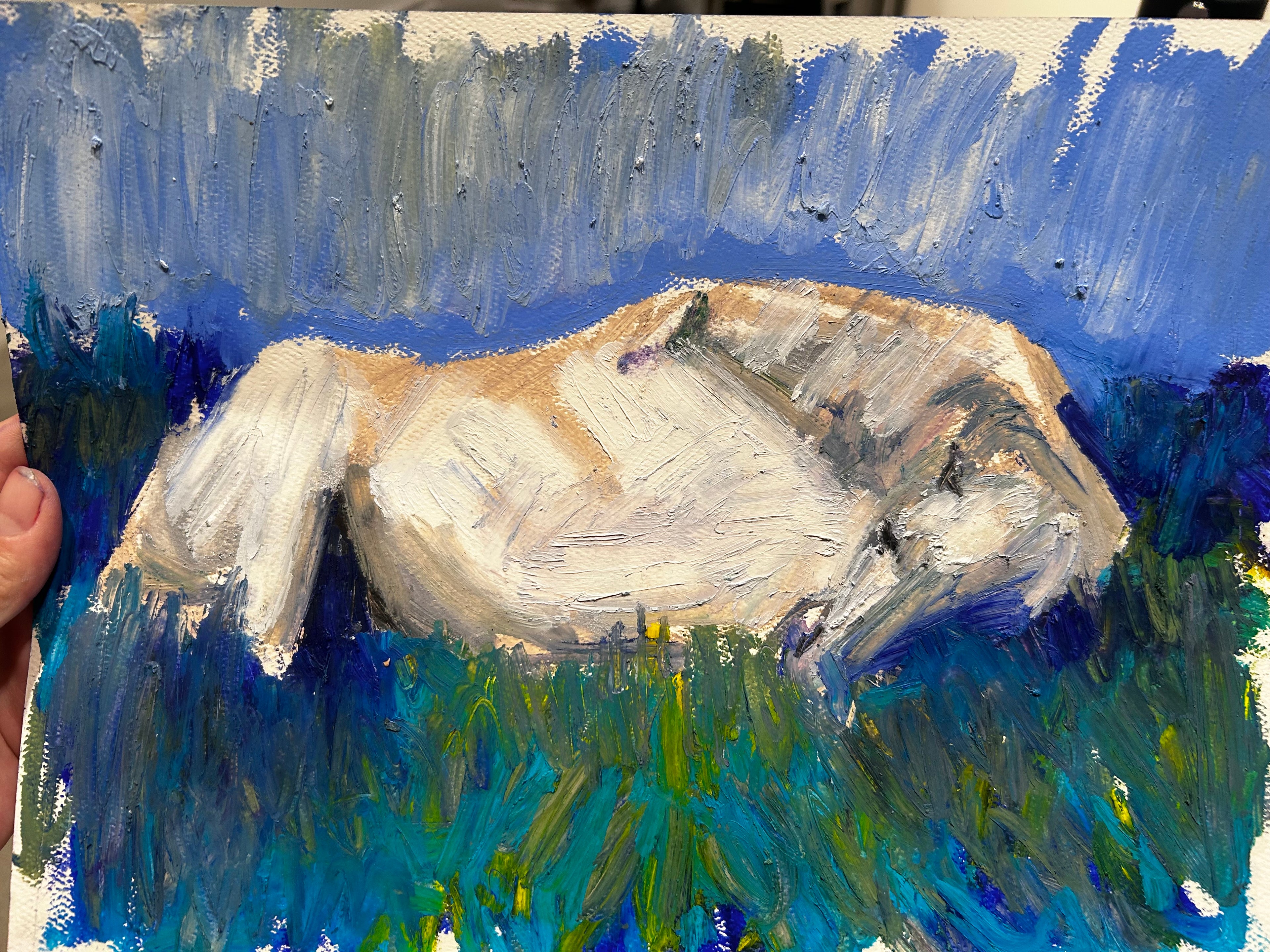 Sleepy horse